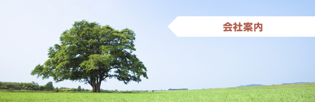 会社案内
