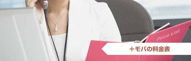 お得 +モバの料金表